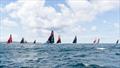 11th Hour Racing supports seven programs to source alternative materials, lessen the footprint of new boat builds, empower female leaders in sailing, and protect marine mammals