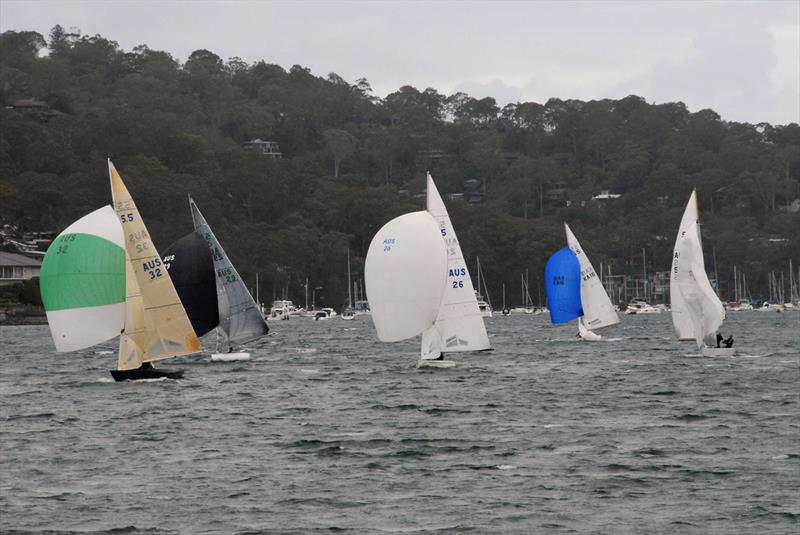 2018 Int. 5.5m Australian Championship photo copyright Tannis McDonal taken at Royal Prince Alfred Yacht Club and featuring the 5.5m class