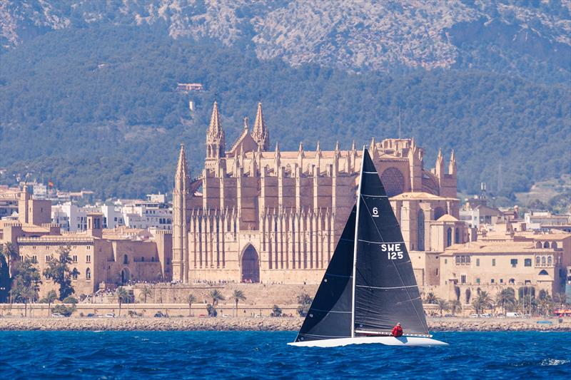 6 Metre sailing in front of Palma's Cathedral at PalmaVela 2024 - photo © Nico Martinez / PalmaVela