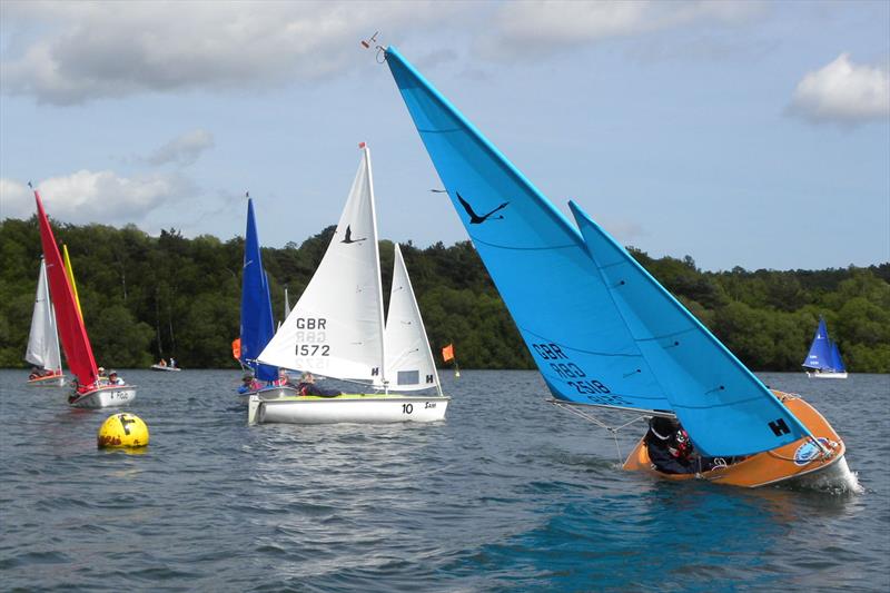Hansa TT at Spinnaker Club in the New Forest photo copyright Robbie Forester-Addie taken at  and featuring the Hansa class