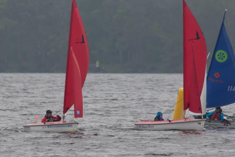Scottish Hansa TT at Castle Semple photo copyright David Hill taken at Castle Semple Sailing Club and featuring the Hansa class