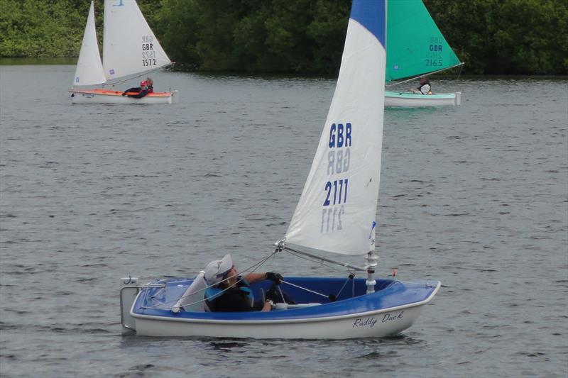 Access Class TT at New Forest and District Sailability photo copyright Ron Sawford taken at  and featuring the Hansa class