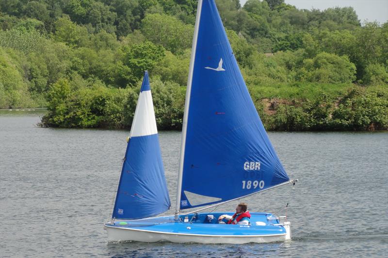 Access Class TT at New Forest and District Sailability photo copyright Ron Sawford taken at  and featuring the Hansa class