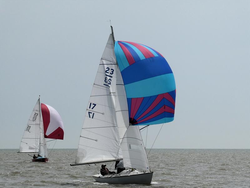 Polly Oliver and Guillemot during the Ajax East Coast Championship at Royal Harwich Yacht Club photo copyright Hazel Mayhew taken at Royal Harwich Yacht Club and featuring the Ajax class