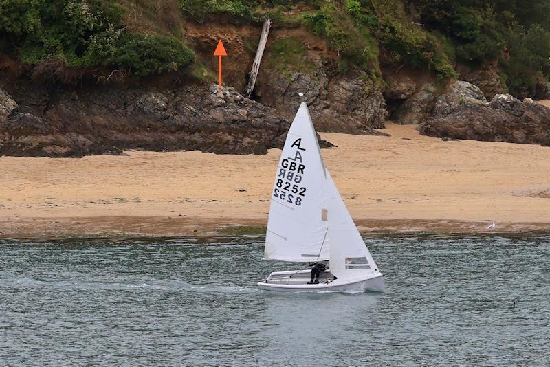 Salcombe Yacht Club Autumn Series Race 5 photo copyright Lucy Burn taken at Salcombe Yacht Club and featuring the Albacore class