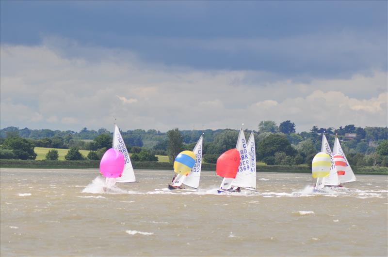 The Waldringfield Cadet Squadron is one of the strongest and most active in the country photo copyright Waldringfield Cadets taken at Waldringfield Sailing Club and featuring the Cadet class