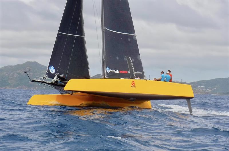 Falcon G4 during the Nelson Pursuit Race photo copyright Louay Habib taken at Antigua Yacht Club and featuring the Catamaran class