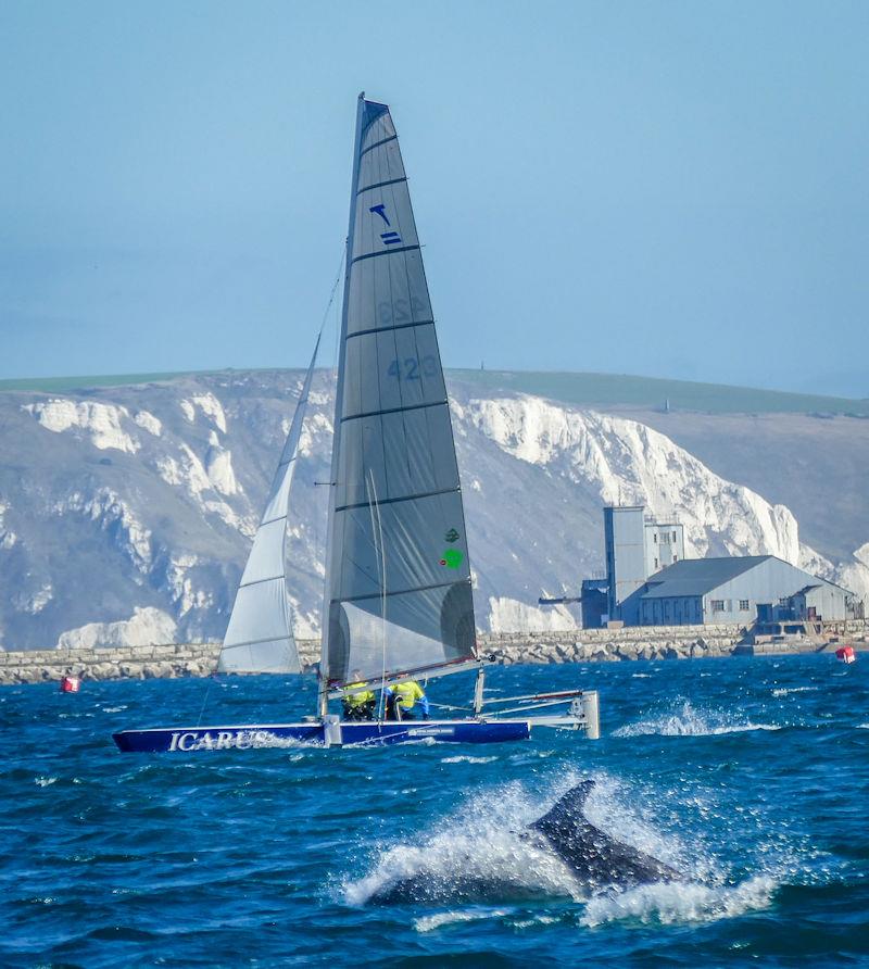 Weymouth Speed Week 2022: Icarus and dolphins photo copyright Andrew Fisher taken at Weymouth & Portland Sailing Academy and featuring the Catamaran class