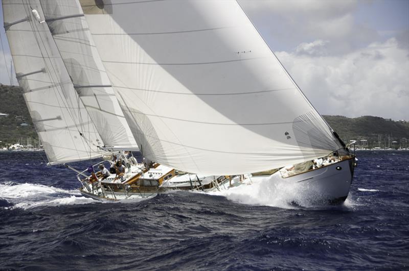 Storm Vogel on day 3 of the Antigua Classic Yacht Regatta photo copyright Steve Manley taken at Antigua Yacht Club and featuring the Classic Yachts class