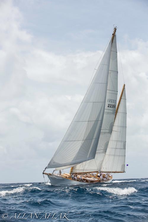 Antigua Classic Yacht Regatta photo copyright Allan Aflak taken at Antigua Yacht Club and featuring the Classic Yachts class
