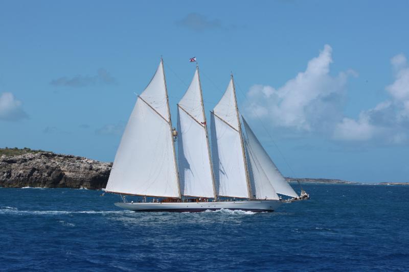 The magnificent three-masted schooner Adix at the start of the RORC Caribbean 600 photo copyright RORC / Tim Wright taken at Antigua Yacht Club and featuring the Classic Yachts class