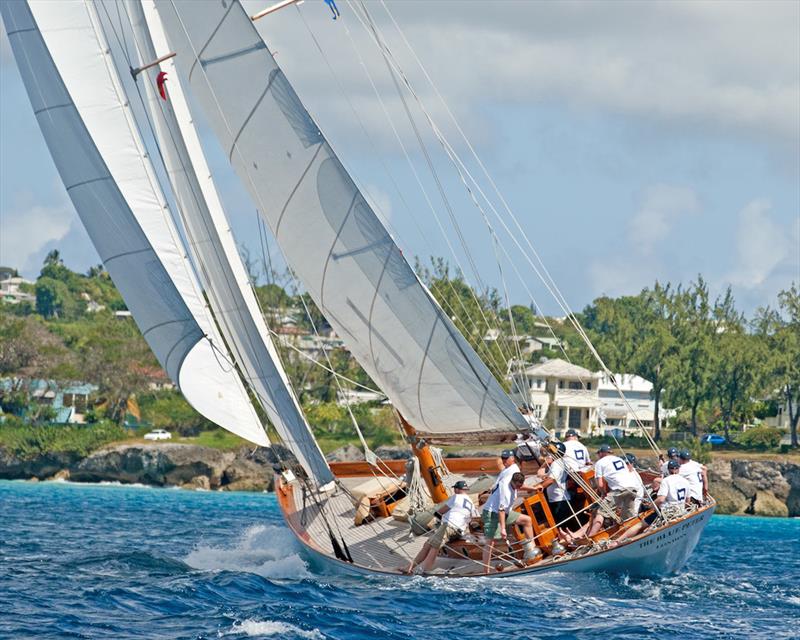 The Alfred Mylne classic – The Blue Peter on Mount Gay Round Barbados Series day 3 photo copyright Peter Marshall / MGRBR taken at Barbados Cruising Club and featuring the Classic Yachts class