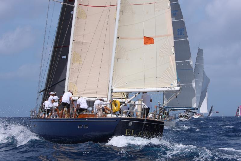 Such is the draw of the race, that 10 crew members of Dr Timothy Wilson's classic yacht, El Oro will be flying in from Australia: 