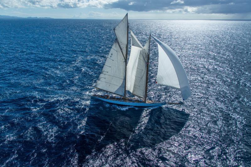 Eleonora shows astonishing beauty under sail, her slender hull cutting a pathway through the sea. An elegant combination of beauty and power photo copyright ELWJ Photography taken at Antigua Yacht Club and featuring the Classic Yachts class