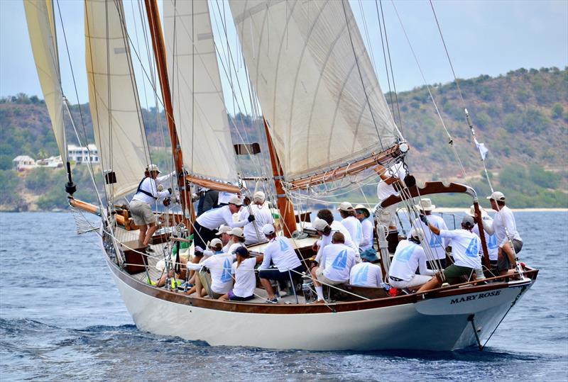 Incredible camaraderie happens on the water and ashore at the Antigua Classic Yacht Regatta photo copyright ACYR taken at  and featuring the Classic Yachts class