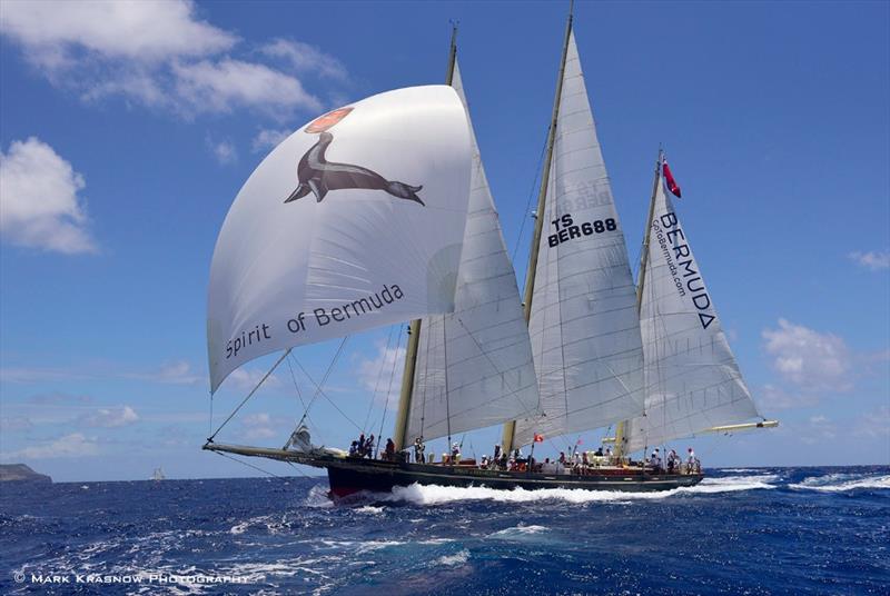 Spirit of Bermuda's spinnaker was the most notable at the Antigua Classic Yacht Regatta photo copyright Mark Krasnow Photography taken at  and featuring the Classic Yachts class