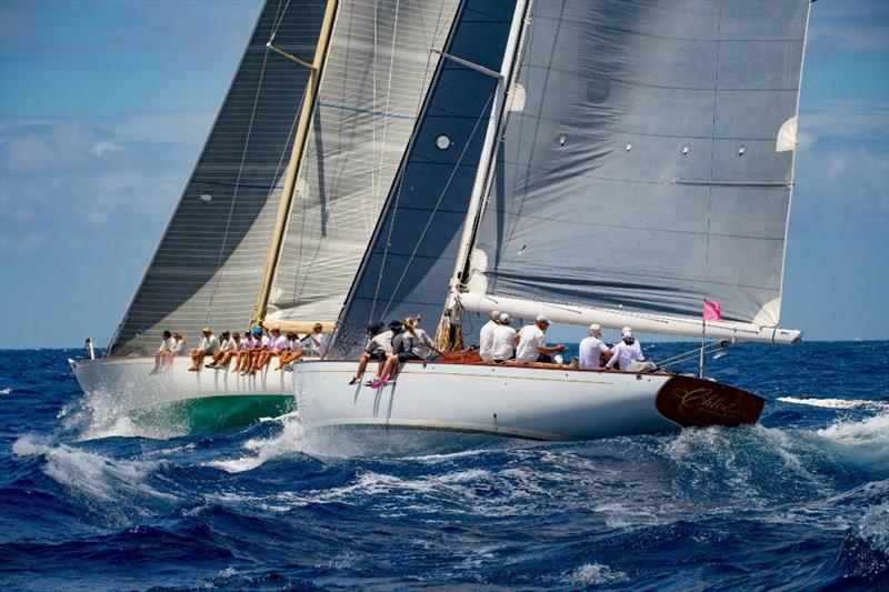 Spirit of Tradition yachts at the Antigua Classic Yacht Regatta photo copyright Ted Martin taken at  and featuring the Classic Yachts class