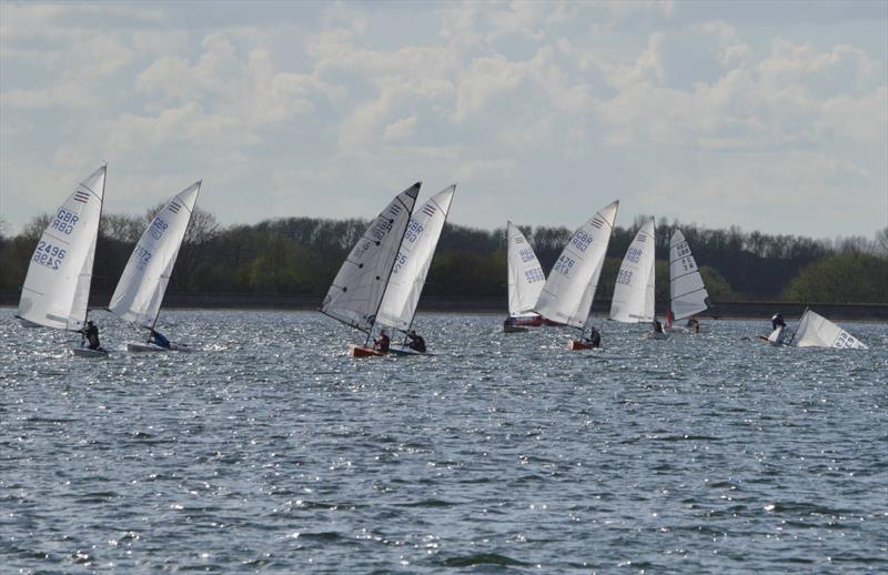 Contenders at Oxford photo copyright Robert Ashby taken at Oxford Sailing Club and featuring the Contender class