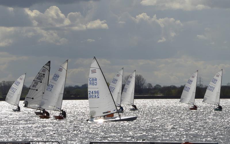 Contenders at Oxford photo copyright Robert Ashby taken at Oxford Sailing Club and featuring the Contender class