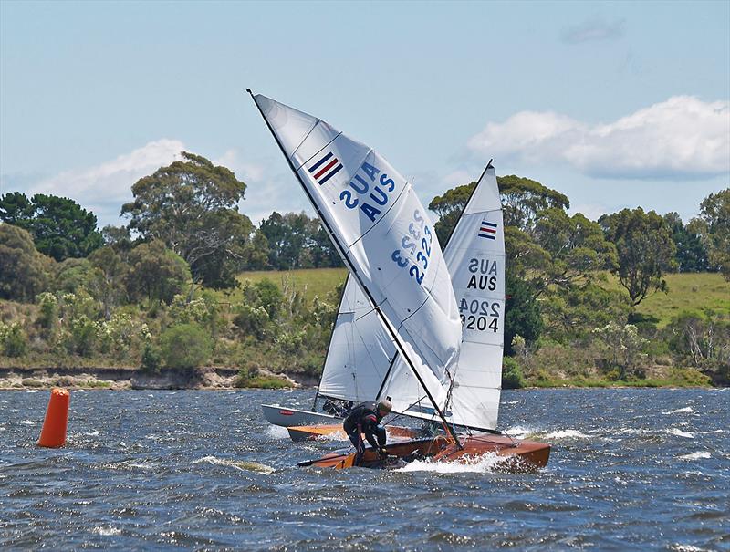 Hit The Deck - James Ellis photo copyright Mark Young taken at Gippsland Lakes Yacht Club and featuring the Contender class