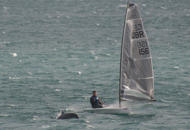 Kian Andrews battling winds nearly 40 knots, accompanied by Pierre the dolphin photo copyright Lottie Miles / Sailing Southwest taken at Penzance Sailing Club and featuring the D-Zero class