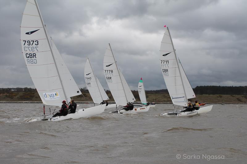 Dart 18 GP at Dee photo copyright Sarka Ngassa taken at Dee Sailing Club and featuring the Dart 18 class