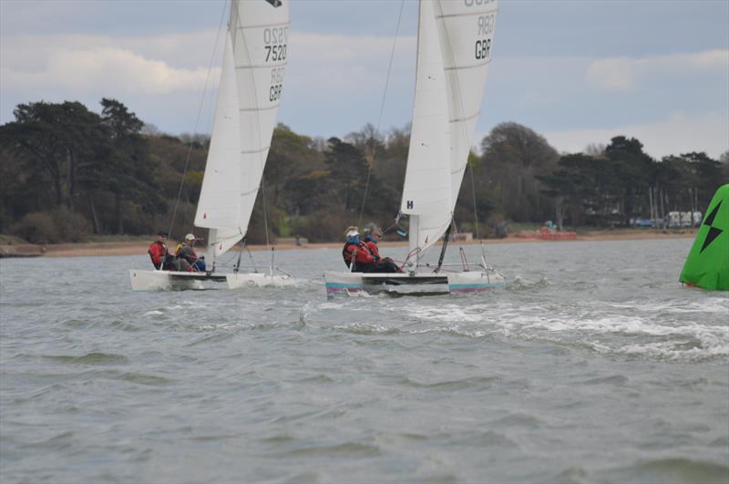 Dart 18 TT at Netley photo copyright Colette Hayes taken at Netley Sailing Club and featuring the Dart 18 class
