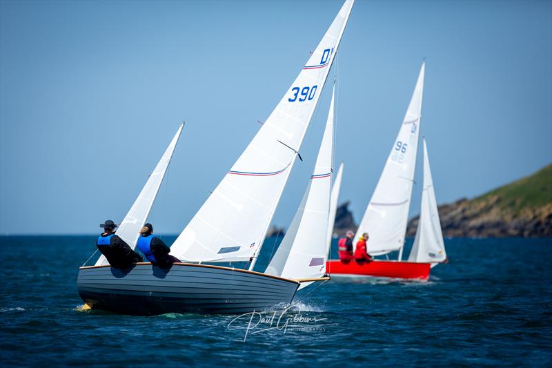 Devon Yawl Nationals 2023 photo copyright Paul Gibbins Photography taken at Yealm Yacht Club and featuring the Devon Yawl class