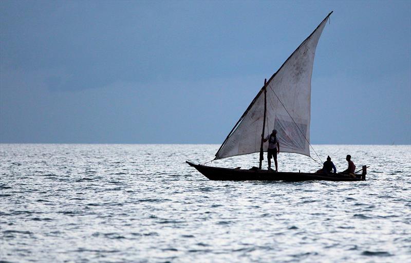 The Ngalawa Cup - Racing from Tanzania to Zanzibar, with a mango tree hull photo copyright Libby Prins / The Adventurists taken at  and featuring the Dhow class