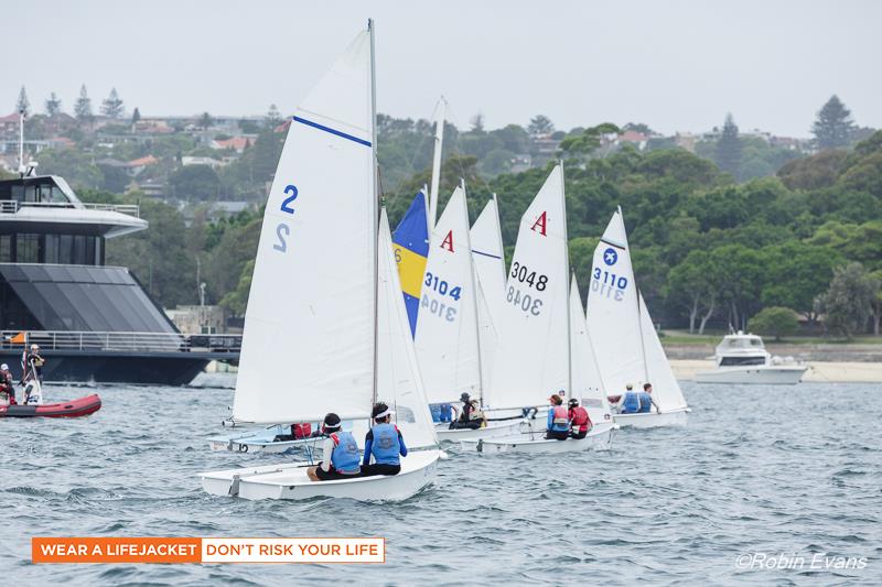 2017 Sail Sydney photo copyright Robin Evans taken at Woollahra Sailing Club and featuring the Dinghy class