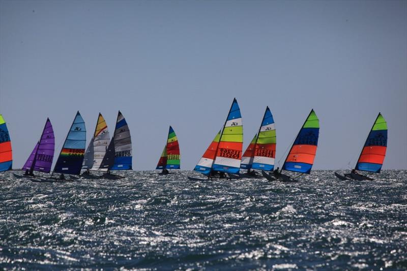 23-24 Australian Hobie Cat National Championships photo copyright Paddy Butler taken at  and featuring the Dinghy class