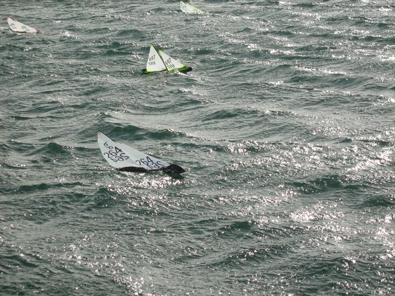 Strong winds for the RC Laser and Df65 Winter Series finale - photo © Tony Wilson