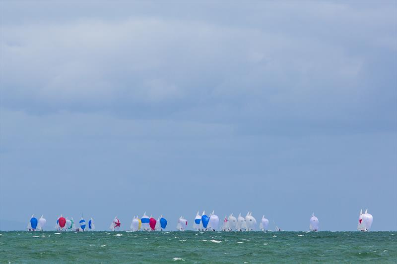 Always love a fleet of kites on the final day at the 2016 Etchells Australia Championship photo copyright Kylie Wilson / www.positiveimage.com.au taken at Royal Brighton Yacht Club and featuring the Etchells class
