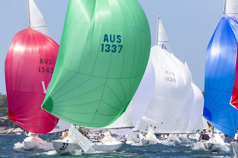 Milson Silver Goblets Regatta photo copyright Andrea Francolini taken at Royal Sydney Yacht Squadron and featuring the Etchells class