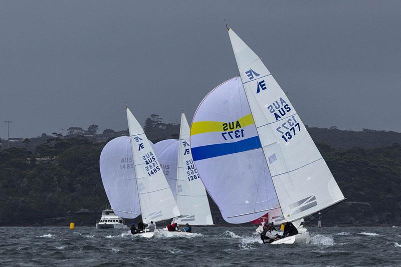 Etchells under the overcast sky - Nautilus Marine Insurance Sydney Harbour Regatta 2024 photo copyright Andrea Francolini taken at Middle Harbour Yacht Club and featuring the Etchells class