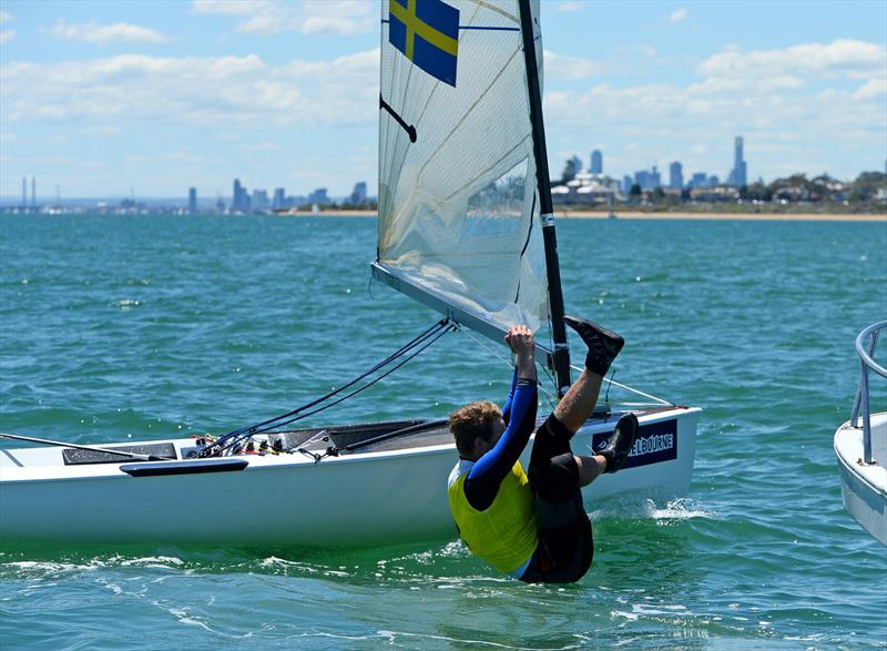 Gold for Bjoern Allansson (SWE) at ISAF Sailing World Cup Melbourne photo copyright Sport the library taken at Sandringham Yacht Club and featuring the Finn class