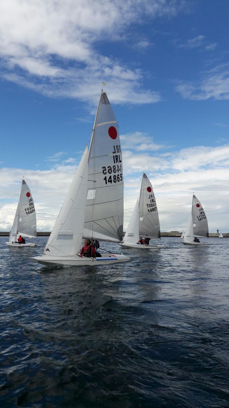 Fireball coaching with Ger Owens in Dun Laoghaire photo copyright Neil Cramer taken at Dun Laoghaire Motor Yacht Club and featuring the Fireball class