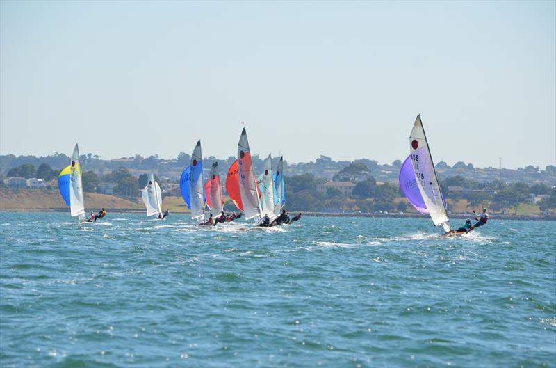 Fireball Geelong State Championship photo copyright Pip Cummings taken at Royal Geelong Yacht Club and featuring the Fireball class