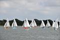 The fleet downwind at the 2021 Dell Quay Firefly Open © Caroline Fillery