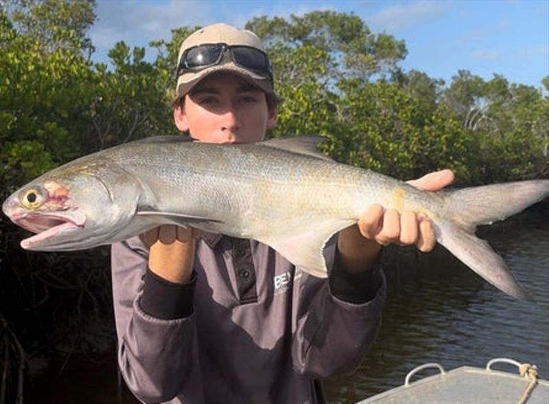 Blue salmon are very common in our creeks and rivers. Here's Lachlan with a decent blue he caught recently photo copyright Fisho's Tackle World taken at  and featuring the Fishing boat class