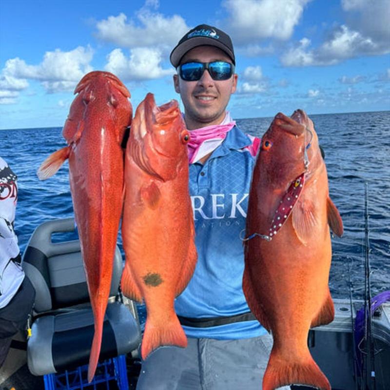 Picking strawberries Swains-style. These fish came out of 40m and were all victim of the go-to coloured Mustad Wingman pictured photo copyright Fisho's Tackle World taken at  and featuring the Fishing boat class