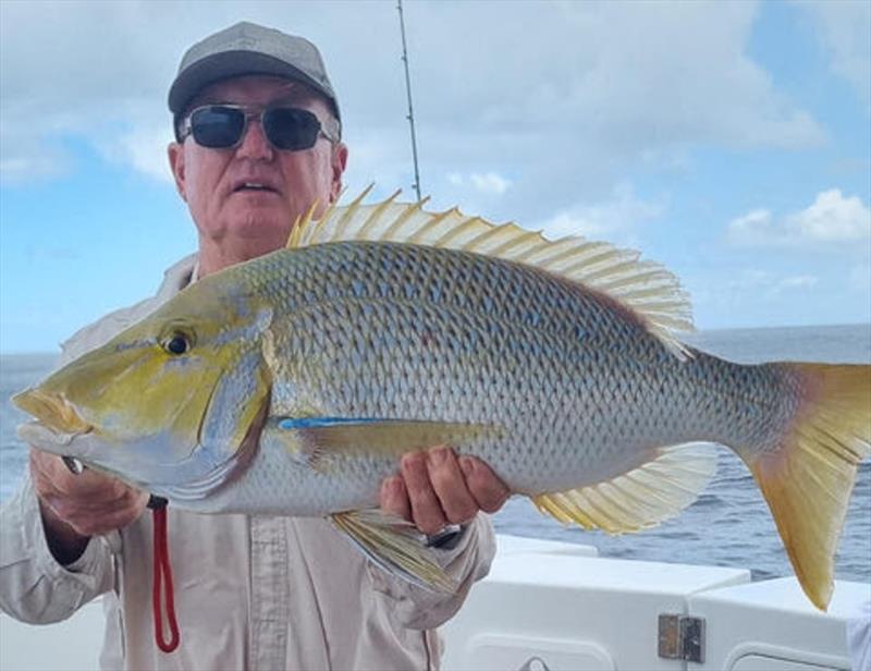 Wayne went wide and caught a range of reef fish, including this solid spango - photo © Fisho's Tackle World