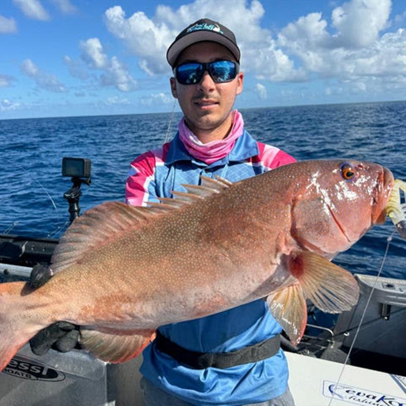 Zerek Live Shrimps and heavy jig heads are must-take lures for any coral sea adventure photo copyright Fisho's Tackle World taken at  and featuring the Fishing boat class