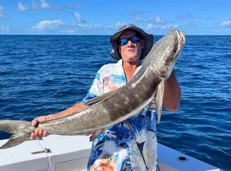 Steve with a solid cobia. These bruisers are highly mobile and are turning up in the northern bay and offshore in varying sizes photo copyright Fisho's Tackle World taken at  and featuring the Fishing boat class