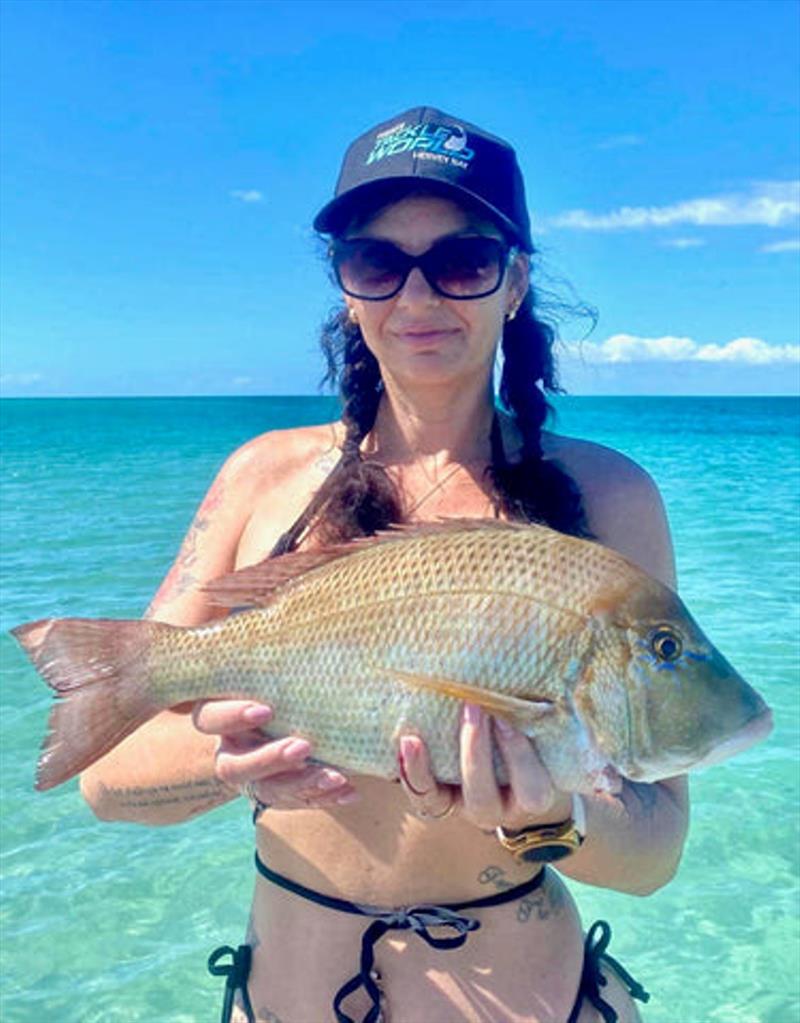 Mel took a spell from trolling and picked up a nice 46cm grassy bait fishing. There are plenty like this out there this time of year photo copyright Fisho's Tackle World taken at  and featuring the Fishing boat class