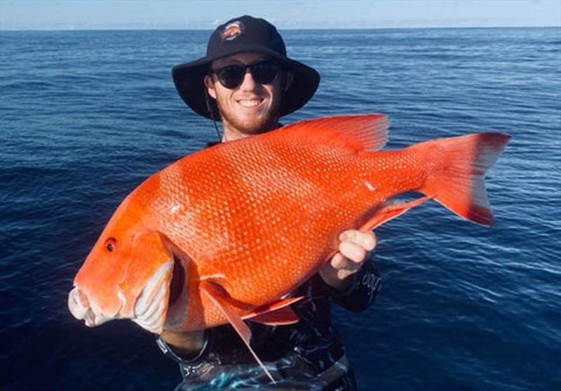 It will be a while before we get weather such as this, but we can still drool over past catches such as this fine red from 1770 that Trent caught - photo © Fisho's Tackle World