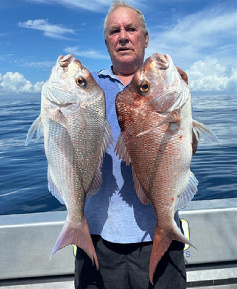 Double Island Point Fishing Charters has been amongst the snapper recently. Jump aboard when the weather improves and this can be you - photo © Fisho's Tackle World