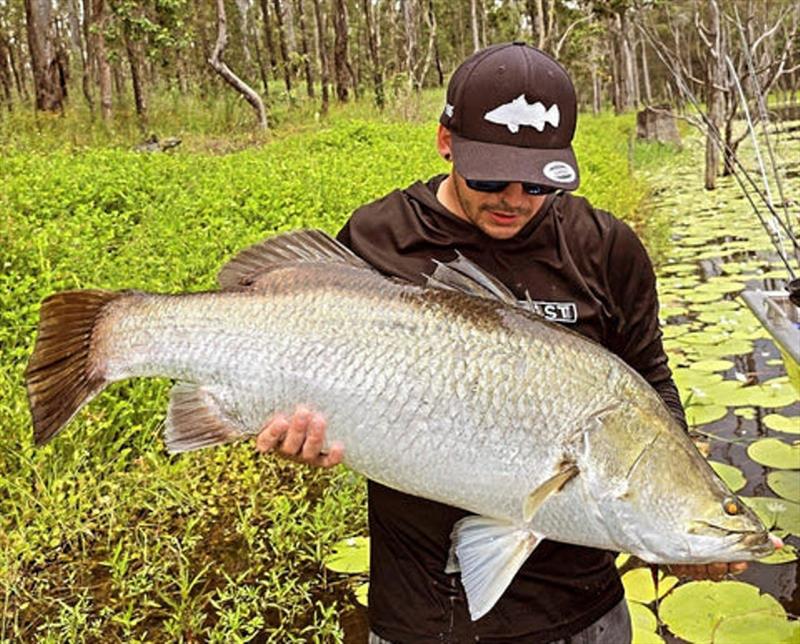 Freshwater barra are an option in windy weather. Solid fish like this are readily available in many waterways in our area - photo © Fisho's Tackle World