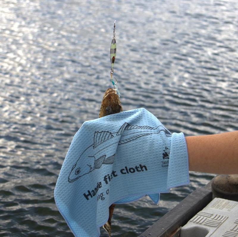 Wet cloths help protect fish from damage - and your hands from spikes! Any soft cloth or rag that you can wet will do the job - photo © Department of NRE Tasmania