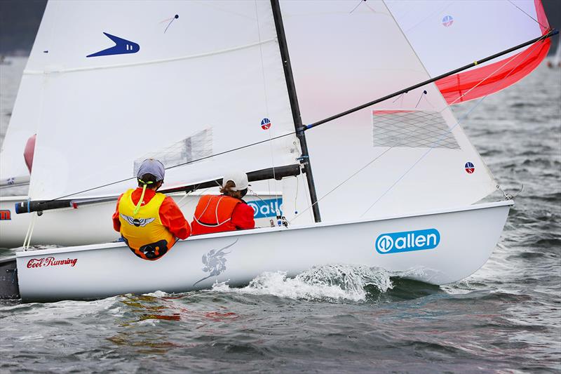 2022 Allen Flying 11 Australian Championships photo copyright Mark Rothfield taken at Gosford Sailing Club and featuring the Flying 11 class